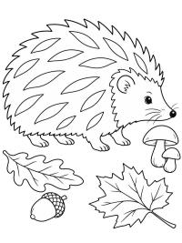 Egel in de herfst
