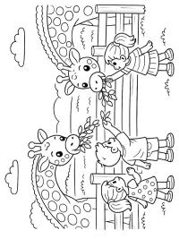 Giraf eten geven in de dierentuin