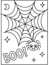 Grappige spin in web