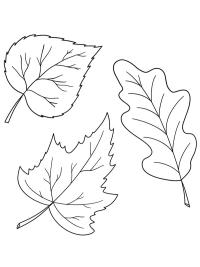 3 herfstbladeren