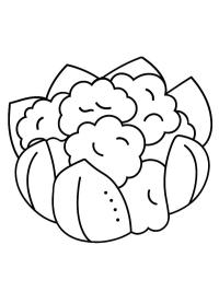 Bloemkool