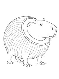 Bobrini Cocosini (Italian Brainrot)