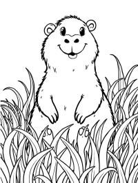 Capibara in het gras