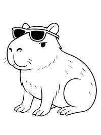 Capibara met zonnebril