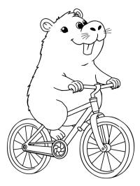 Capibara op de fiets