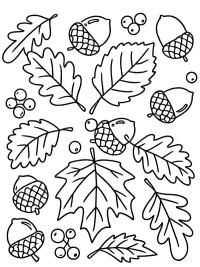 Herfstbladeren en eikels