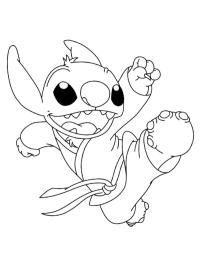 Karate Stitch