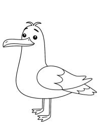 Meeuw
