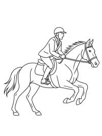 Paard in galop met ruiter