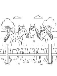 Paardenkudde achter hek