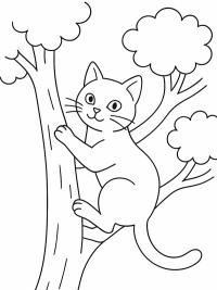 Poes klimt in een boom
