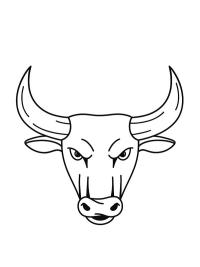 Stier hoofd