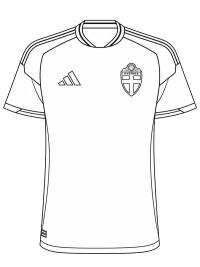 Voetbalshirt zweden