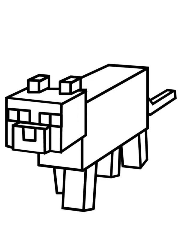 Minecraft kat Kleurplaat