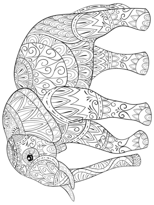 Kleurplaat olifant volwassenen |